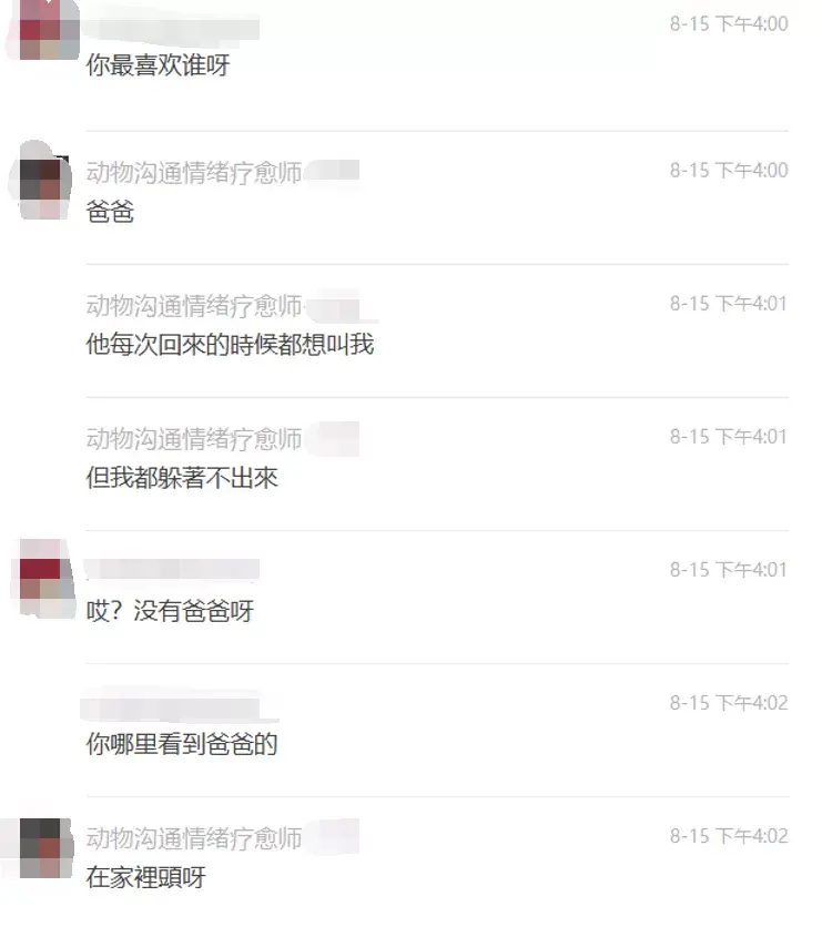 消费观：宠物沟通师靠谱吗？花200块钱跟我的狗唠了一次