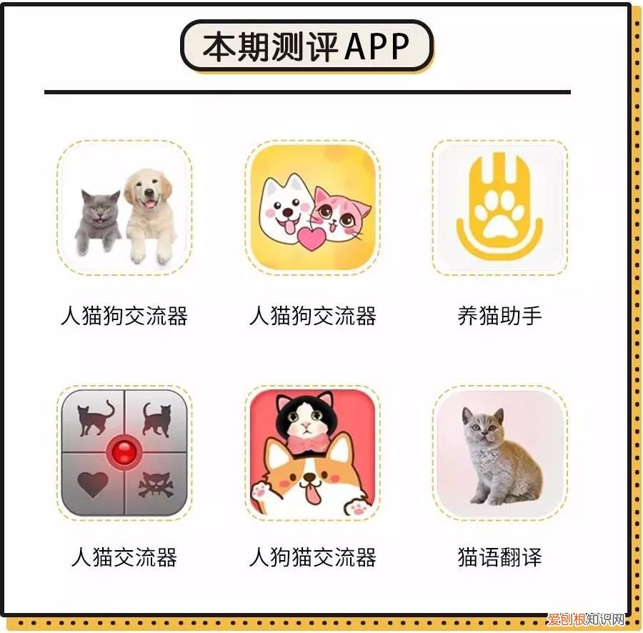人宠交流器有用吗，6款人宠交流app深度评测！没有最坑，只有更坑