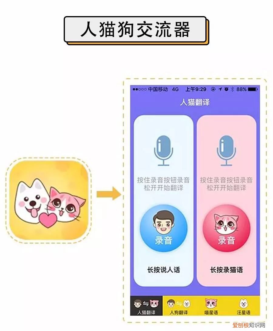 人宠交流器有用吗，6款人宠交流app深度评测！没有最坑，只有更坑