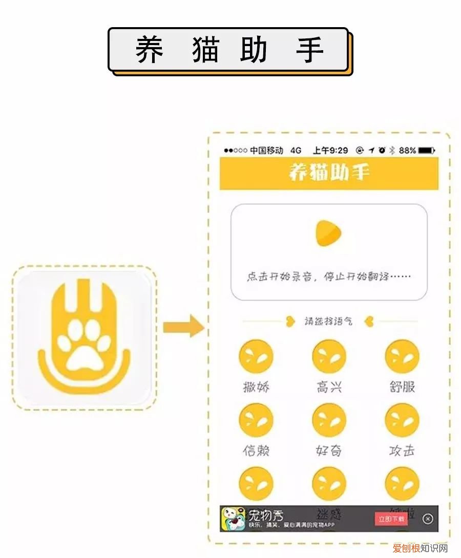 人宠交流器有用吗，6款人宠交流app深度评测！没有最坑，只有更坑