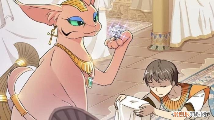 十大必看宠物小说排行榜，一本比较好看的小众网络小说《宠物天王》