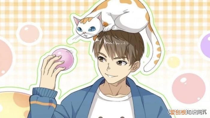 十大必看宠物小说排行榜，一本比较好看的小众网络小说《宠物天王》