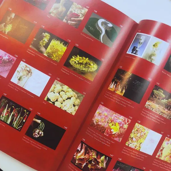 自学花艺师书籍推荐，对于初学花艺零基础的人有哪些书推荐呢？