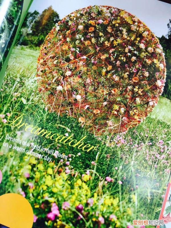 自学花艺师书籍推荐，对于初学花艺零基础的人有哪些书推荐呢？