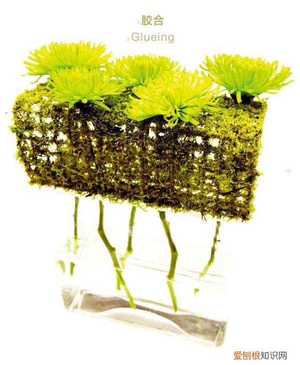 自学花艺师书籍推荐，对于初学花艺零基础的人有哪些书推荐呢？