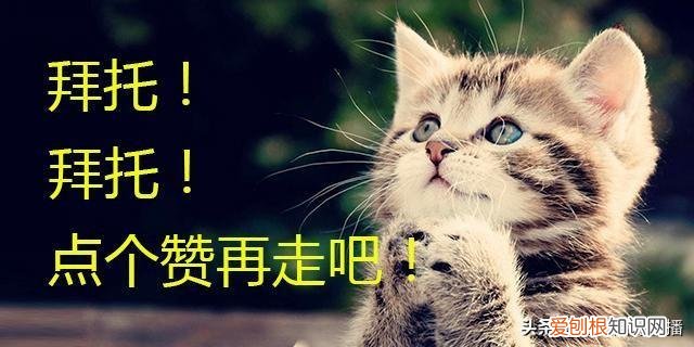 持仓盈亏什么意思