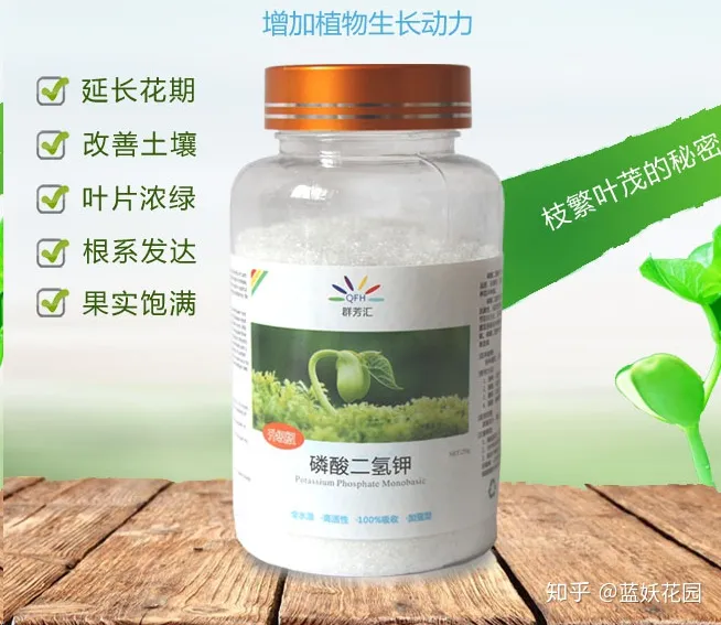 开花时间长的盆栽花有哪些，难怪你的盆栽不开花，处于不同生长期的盆栽，施肥方法大不同！