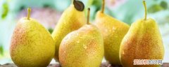 减脂期间梨可以吃吗 减脂期间能吃梨吗《梨能不能在减肥的时候吃》