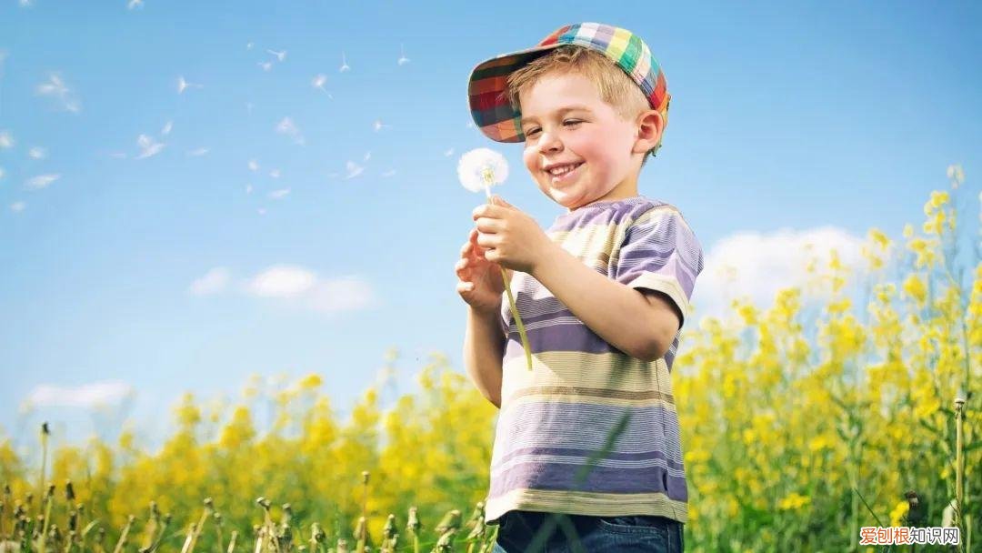 monkeys是什么意思翻译,monkey是“猴子”,business是“生意”,那monkey business啥意思