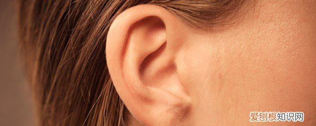 冬天跑步 耳朵疼 冬天跑步耳朵疼注意事项《冬天跑步耳朵疼注意哪些》