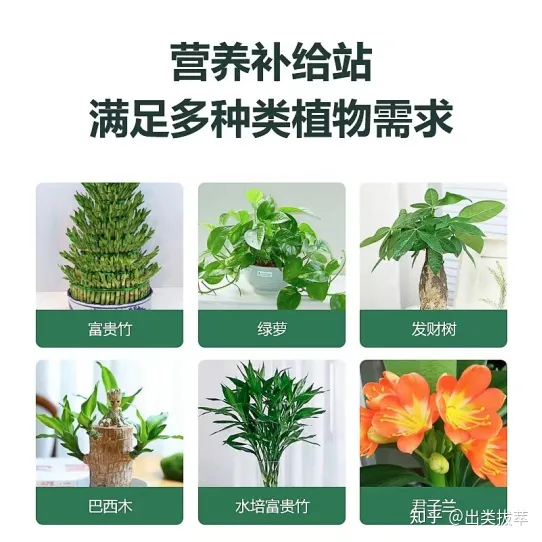 养花的十二种技巧是什么,养花技巧:秋季养花有哪些小窍门,不可不学哦!