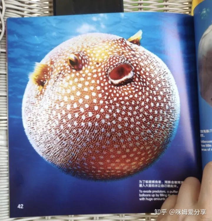 美国少儿知识百科全书，《美国国家地理趣味小百科》 中英文双语读物，了解动物知识，培养英语兴趣