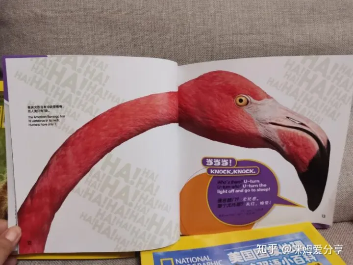 美国少儿知识百科全书，《美国国家地理趣味小百科》 中英文双语读物，了解动物知识，培养英语兴趣