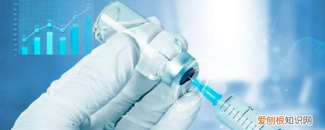 请问打了疫苗可以喝酒吗 打了疫苗能不能喝酒《打了疫苗能喝酒吗》