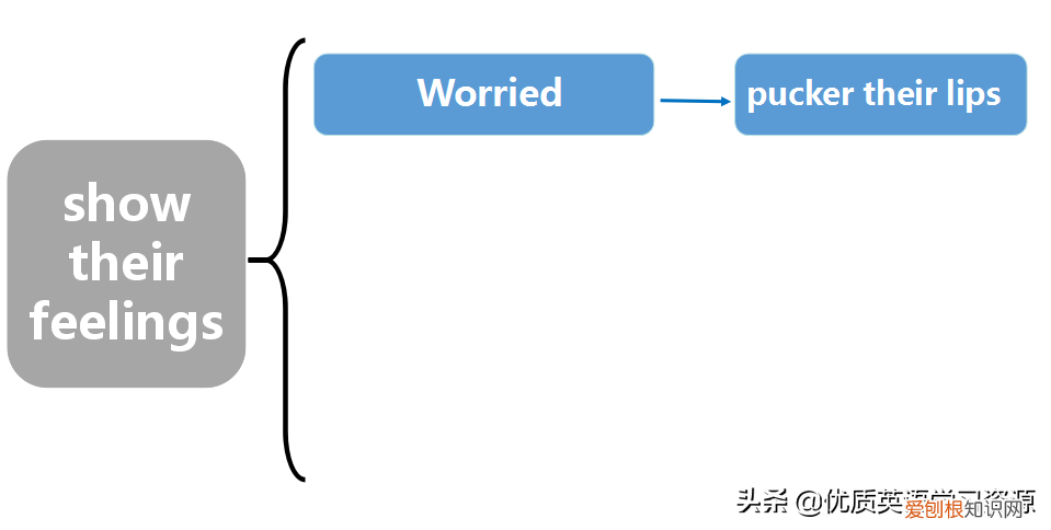 英文原版阅读理解教材类似RE，英语原版阅读：Learning About Chimpanzee
