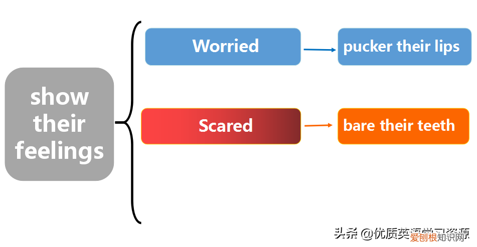 英文原版阅读理解教材类似RE，英语原版阅读：Learning About Chimpanzee