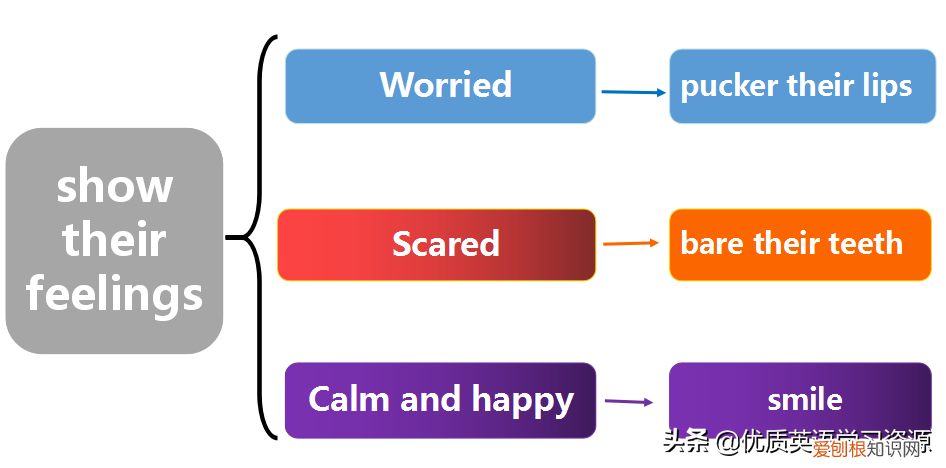 英文原版阅读理解教材类似RE，英语原版阅读：Learning About Chimpanzee
