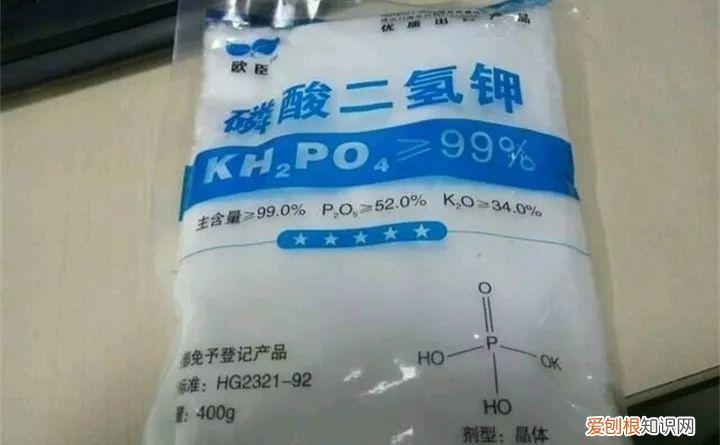 病虫害会导致君子兰夹箭虫吗，8种养花窍门，病虫全扫光，君子兰长得健壮不夹箭！