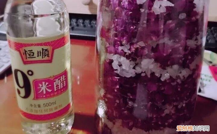 病虫害会导致君子兰夹箭虫吗，8种养花窍门，病虫全扫光，君子兰长得健壮不夹箭！