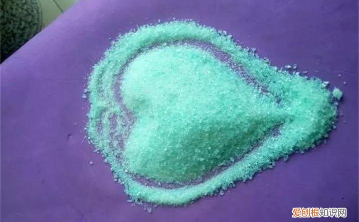 病虫害会导致君子兰夹箭虫吗，8种养花窍门，病虫全扫光，君子兰长得健壮不夹箭！