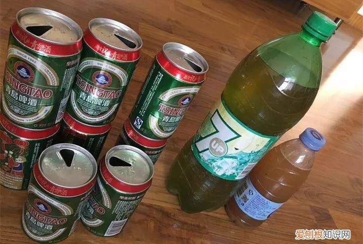 病虫害会导致君子兰夹箭虫吗，8种养花窍门，病虫全扫光，君子兰长得健壮不夹箭！