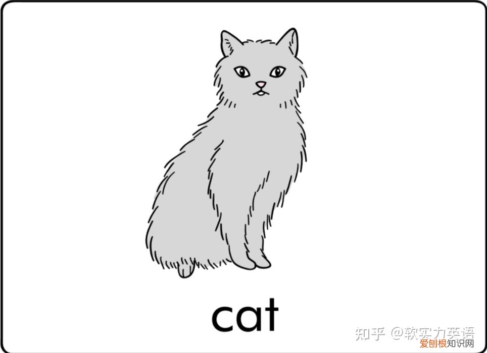 小朋友学单词动物，英语启蒙：6套看图识词动物卡片，帮助孩子积累英语入门词汇