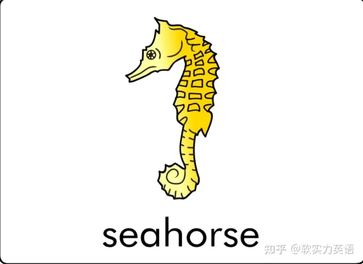 小朋友学单词动物，英语启蒙：6套看图识词动物卡片，帮助孩子积累英语入门词汇