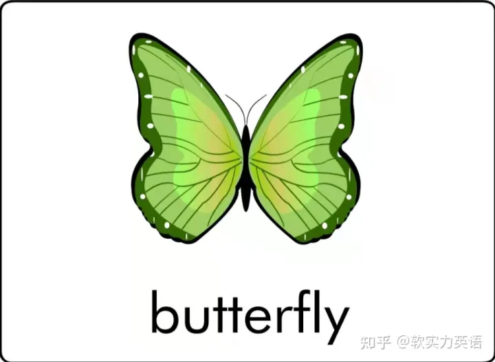 小朋友学单词动物，英语启蒙：6套看图识词动物卡片，帮助孩子积累英语入门词汇