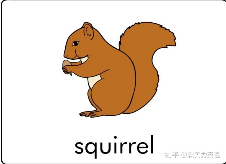 小朋友学单词动物，英语启蒙：6套看图识词动物卡片，帮助孩子积累英语入门词汇