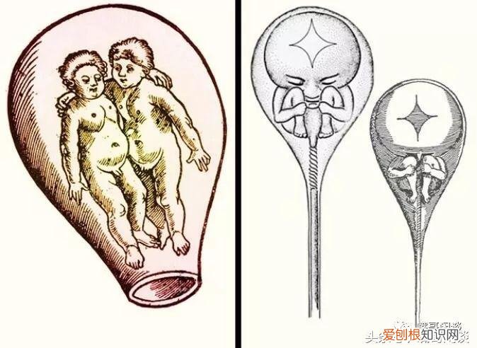 古代欧洲人很脏吗，古代欧洲人10个超变态的“生活常识”