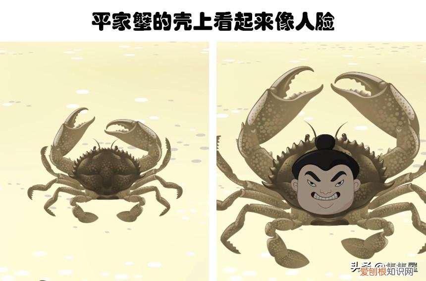 生物世界指什么动物，你甚至在生物课上都可能没听过的10个关于动物的有趣冷知识