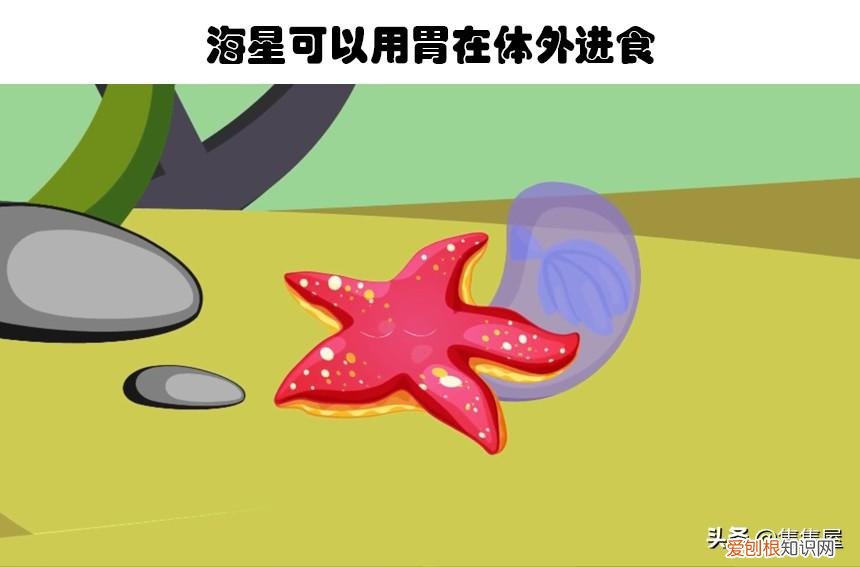 生物世界指什么动物，你甚至在生物课上都可能没听过的10个关于动物的有趣冷知识