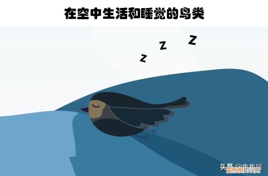 生物世界指什么动物，你甚至在生物课上都可能没听过的10个关于动物的有趣冷知识