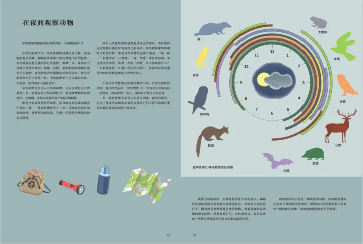 《有趣的动物》读书笔记，浪花书单丨动物们的迷惑行为，原来还有这么多讲究