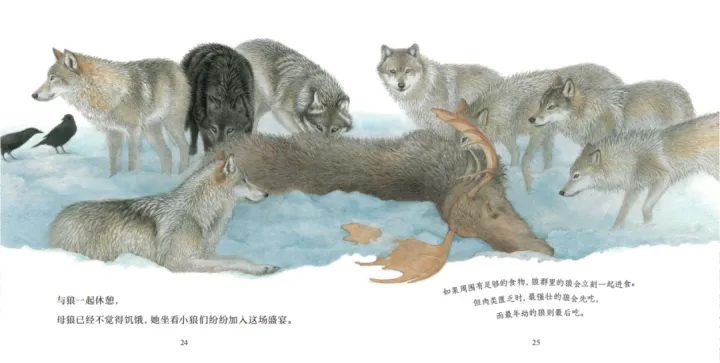 《有趣的动物》读书笔记，浪花书单丨动物们的迷惑行为，原来还有这么多讲究