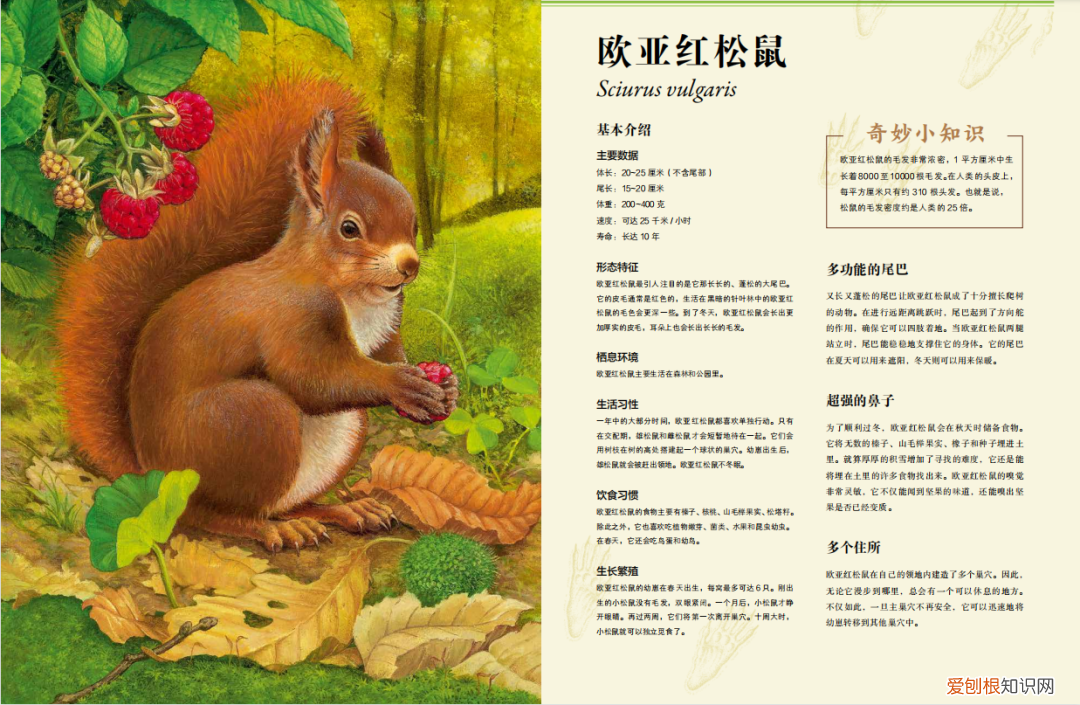 《有趣的动物》读书笔记，浪花书单丨动物们的迷惑行为，原来还有这么多讲究