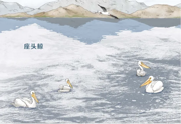 《有趣的动物》读书笔记，浪花书单丨动物们的迷惑行为，原来还有这么多讲究