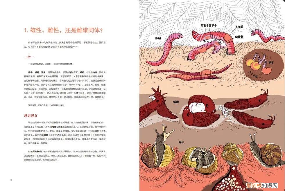 《有趣的动物》读书笔记，浪花书单丨动物们的迷惑行为，原来还有这么多讲究