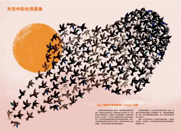 《有趣的动物》读书笔记，浪花书单丨动物们的迷惑行为，原来还有这么多讲究