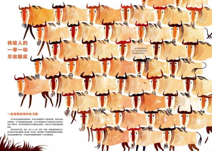 《有趣的动物》读书笔记，浪花书单丨动物们的迷惑行为，原来还有这么多讲究