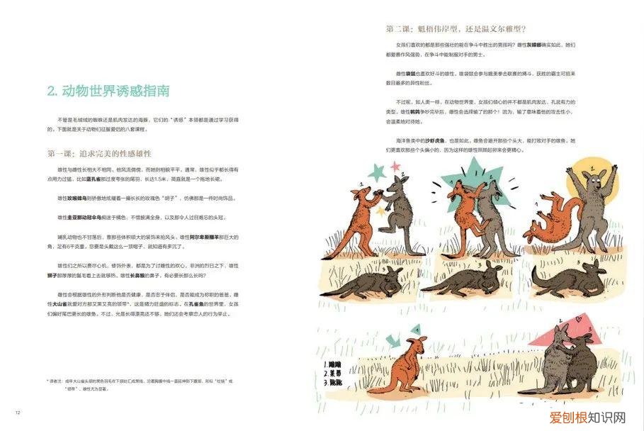 《有趣的动物》读书笔记，浪花书单丨动物们的迷惑行为，原来还有这么多讲究