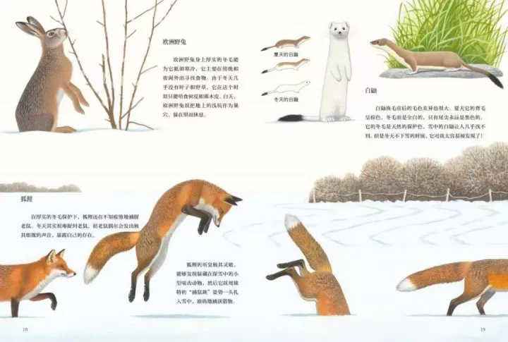 《有趣的动物》读书笔记，浪花书单丨动物们的迷惑行为，原来还有这么多讲究