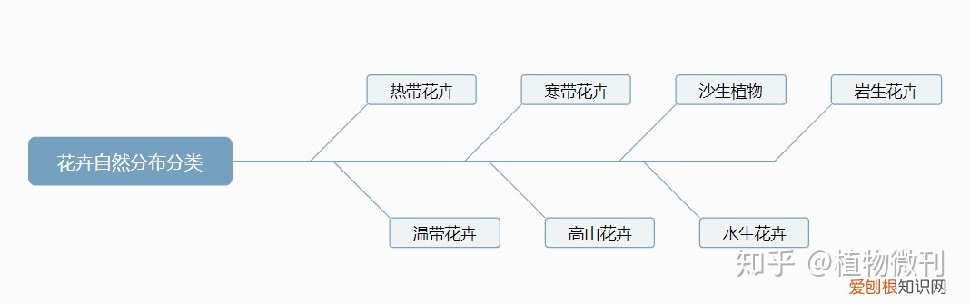这10条养花技巧非常适合新手用英语，新手养花，入门攻略之花卉分类