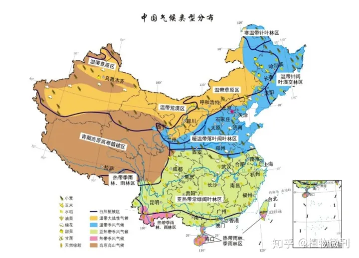 这10条养花技巧非常适合新手用英语，新手养花，入门攻略之花卉分类