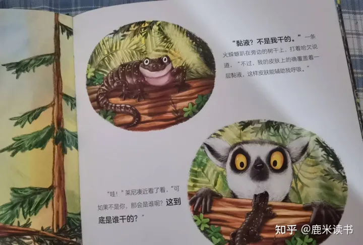 还有什么小动物用什么来辨味，《有味道的动物科普》调动孩子的五官感触，回味无穷