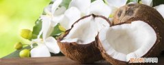 吃椰肉有什么好处? 吃椰肉有什么好处