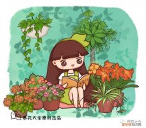 各种花卉的养护方法，50种常见花卉的养护方法，从此养花不发愁！