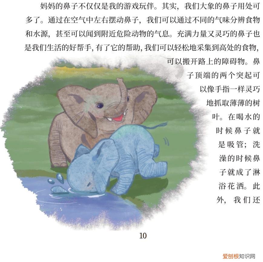 关于动物成长的故事,好书·推荐|三个动物成长的故事,让孩子尊重生命,关爱自然