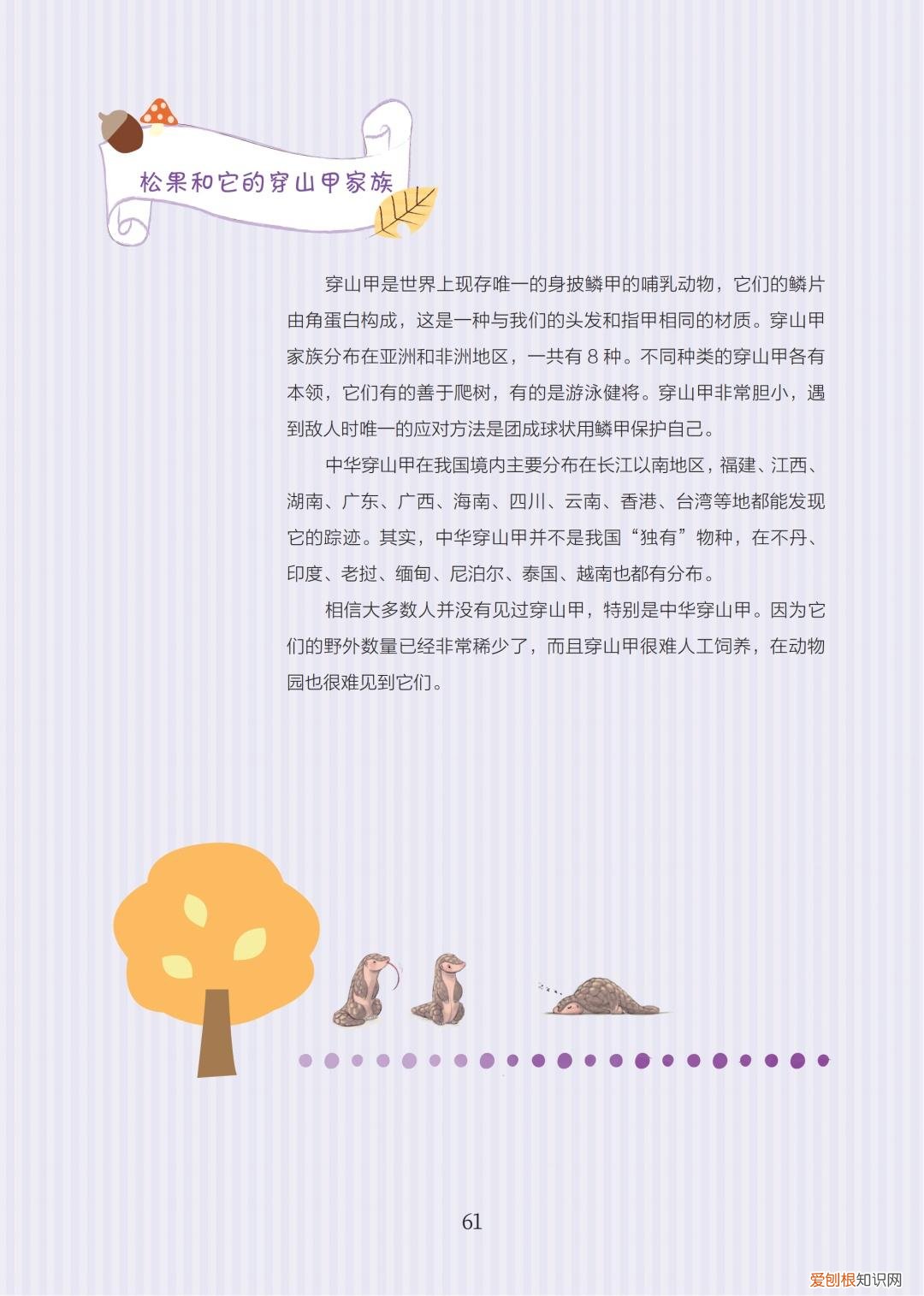 关于动物成长的故事,好书·推荐|三个动物成长的故事,让孩子尊重生命,关爱自然