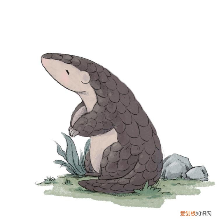 关于动物成长的故事,好书·推荐|三个动物成长的故事,让孩子尊重生命,关爱自然